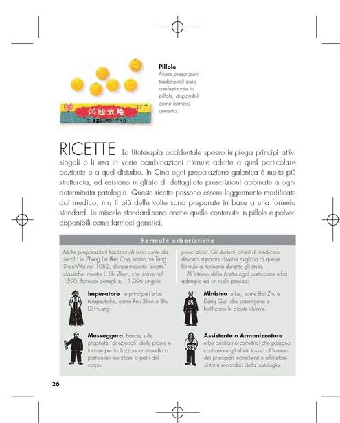 regattin-picture 1.jpg