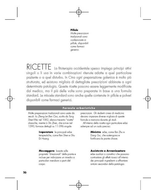 regattin-picture 3.jpg