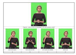 Sign Language Questionnaire.png